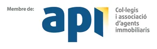 Membre d'API, Col·legi i associació d'agents immobiliaris